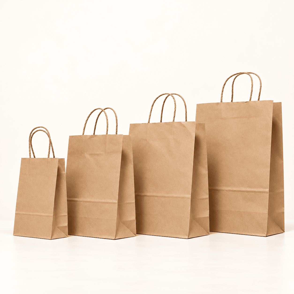 Paper Bag Kraft Handle Twist